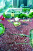 서울시청 앞 광장을 가득 메운 2002 한일 월드컵 응원 인파 이미지