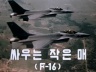 싸우는 작은 매(F-16) 이미지