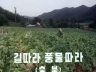 길따라 풍물따라(충북) 이미지