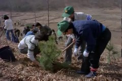 국민 식수 기간 이미지