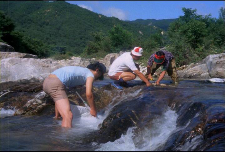 추자도 (생물, 조류, 곤충) (문화계) 이미지