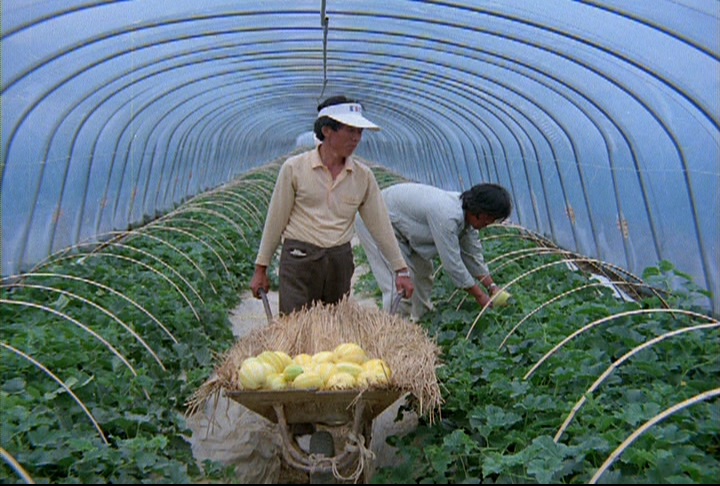 가창 댐 준공 및 수박,참외 이미지