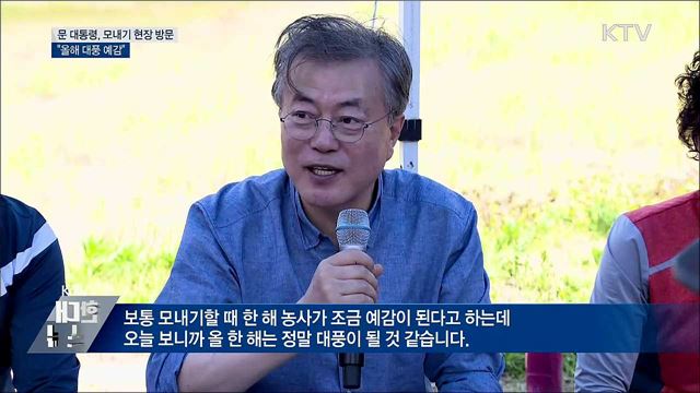 문재인 대통령 모내기 현장, 경북 경주시 옥산마을 방문 이미지