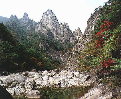 설악산 비선대 이미지