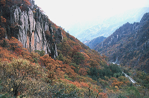 설악산의 가을 이미지