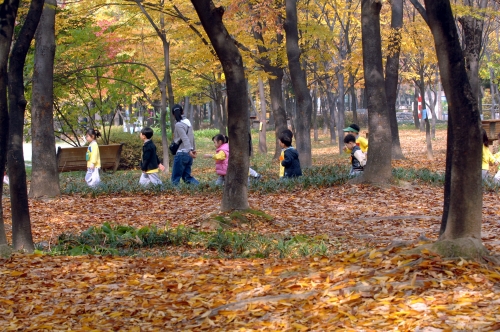 깊어가는 가을 이미지