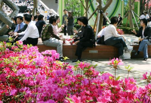 2008 봄 세종뜨락 축제 이미지