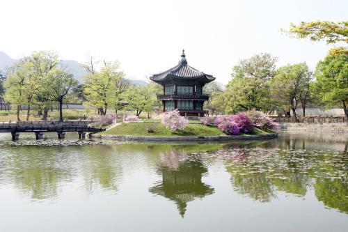 경복궁 향원정의 봄 이미지