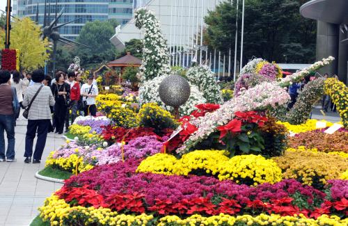 무역센터 국화축제 이미지