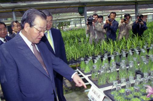 김종필 국무총리 상효화훼단지 방문 이미지