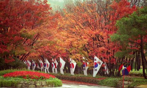 한ㆍ일 정상 공동기자회견(김영삼 대통령, 호소카와 모리히로 수상) 이미지