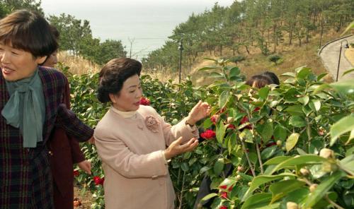 김영삼 대통령 부인 손명순 여사 제주 관광(중문단지) 이미지