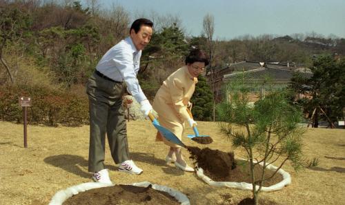 김영삼 대통령 식목일 식수(경내) 이미지