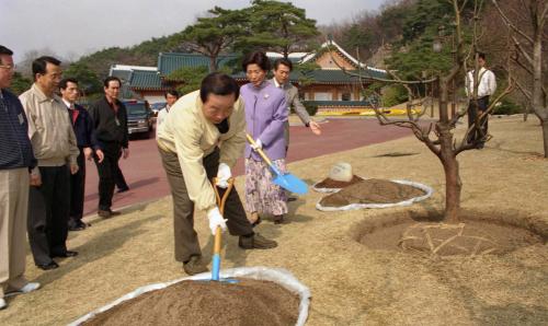 김영삼 대통령 식목일 행사(경내) 참석 이미지