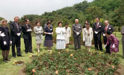 김영삼 대통령 부인 손명순 여사 유엔 평화장미 식수 이미지