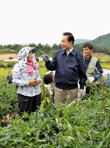 이명박 대통령 풋고추 수확 및 농산물산지유통센터 방문 농민들과 간담회 이미지